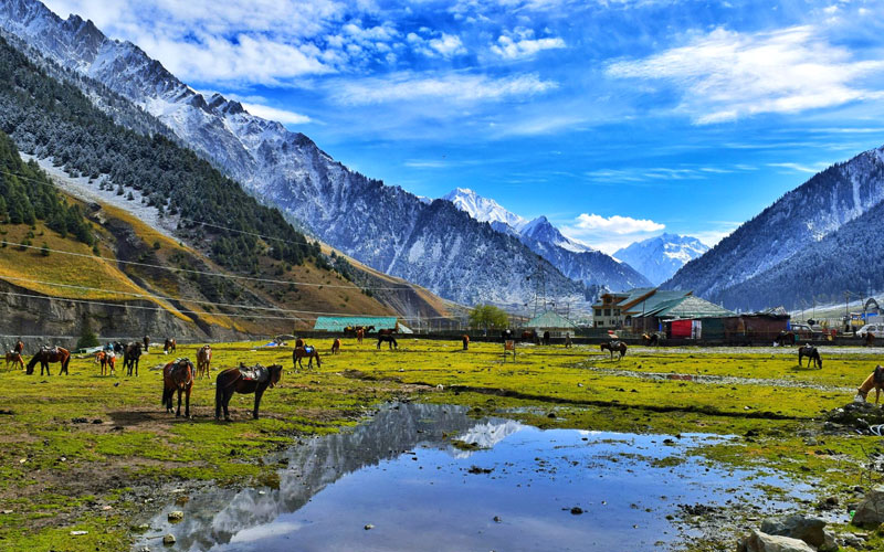 Kashmir-Glimpses1